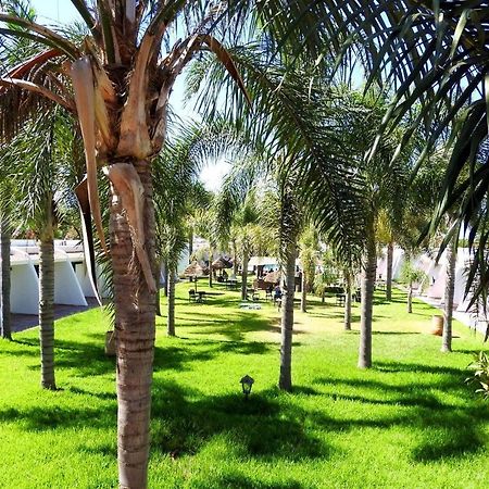 Assam Hotel Kenitra Bagian luar foto